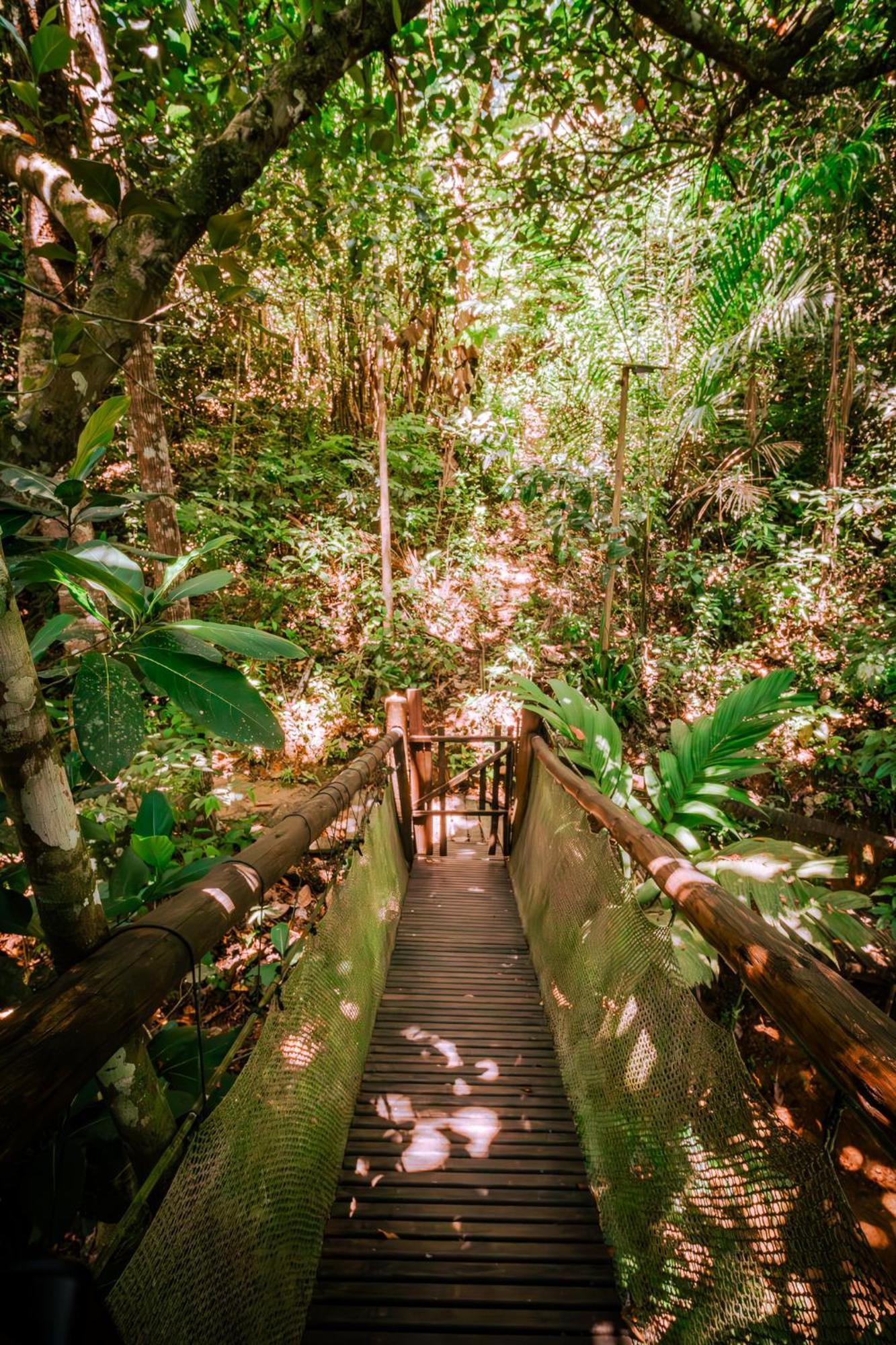 Paraty Paradiso エクステリア 写真